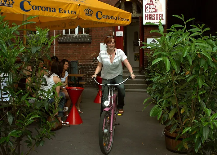 Three Little Pigs - Your Castle